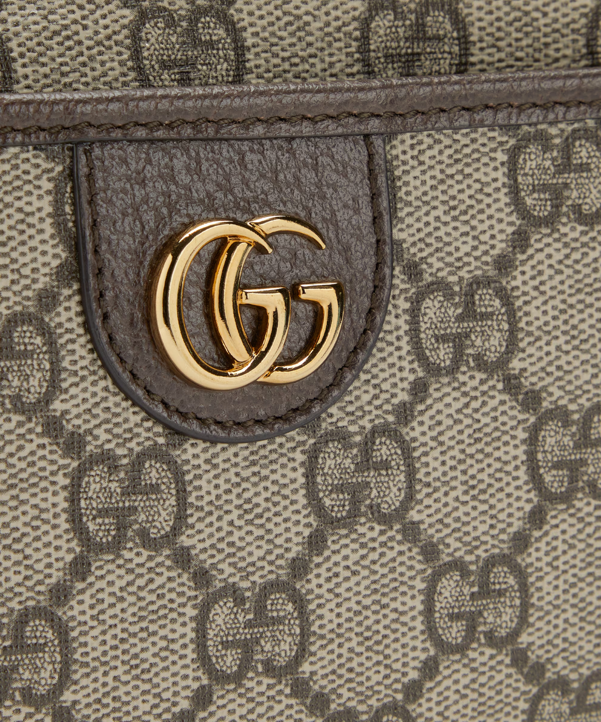 Gucci Ophidia Moon Bag