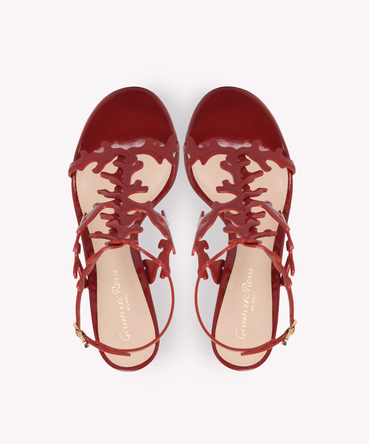 Gianvito Rossi Ocean Sandals