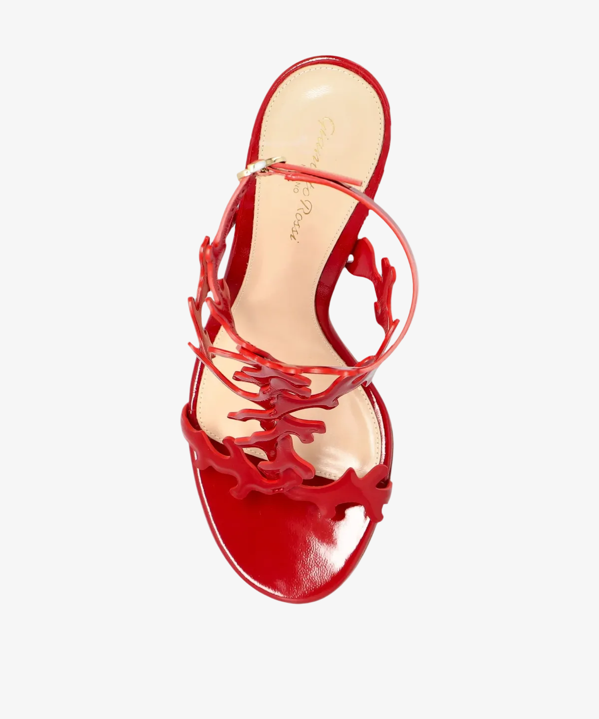 Gianvito Rossi Ocean Sandals