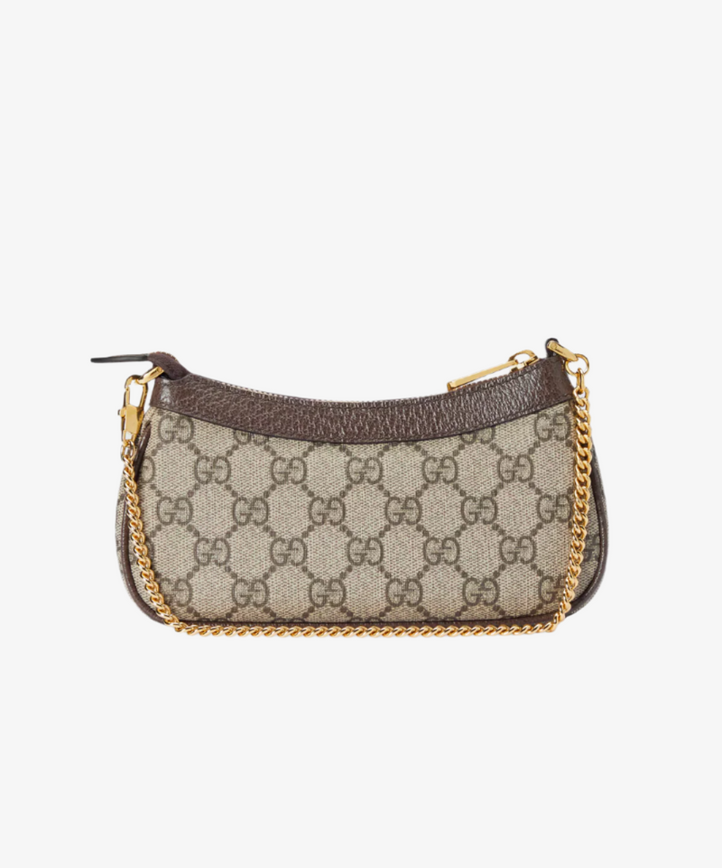 Gucci Ophidia Mini