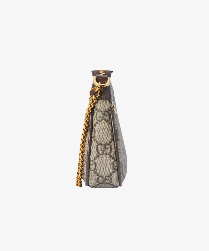 Gucci Ophidia Mini