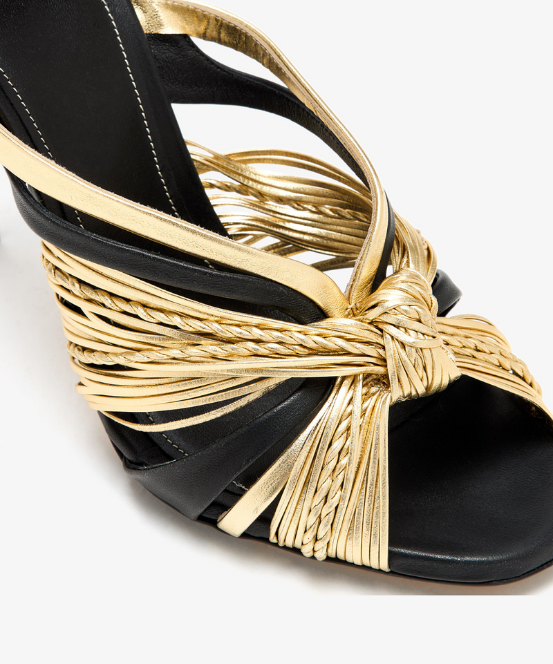 Alevi Celeste Mule